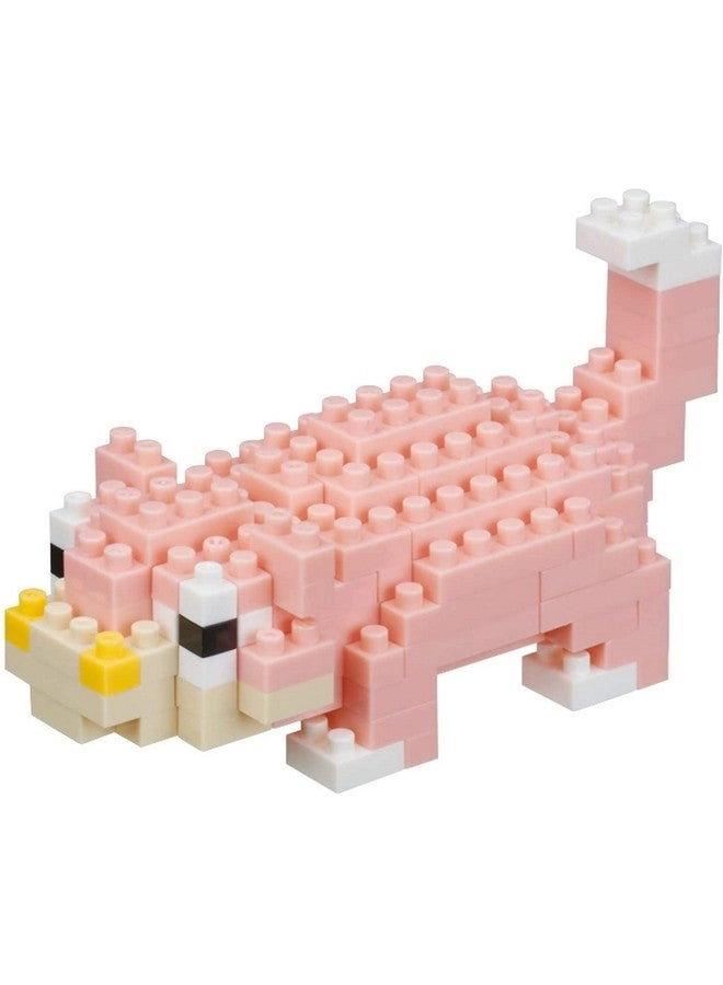 Kawada Slowpoke - Pokemon Slowpoke