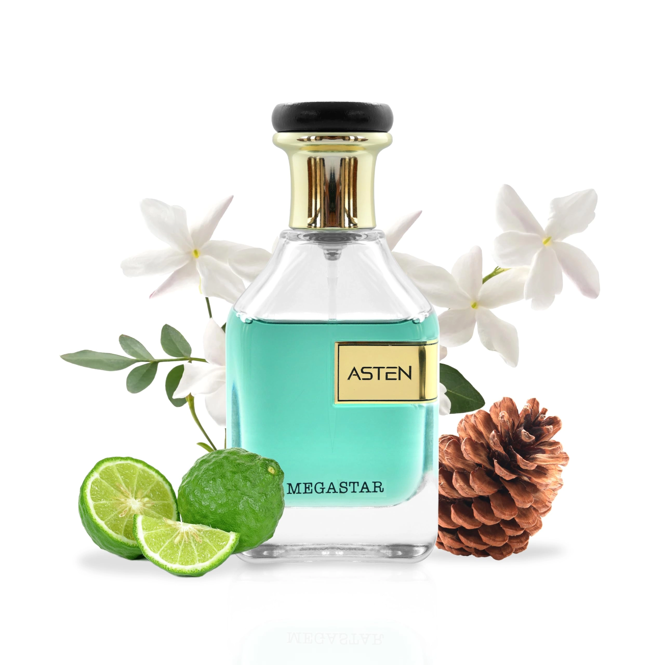 OUDH AL ANFAR MANUFACTURING L.L.C Megastar Eau de Parfum 100ml