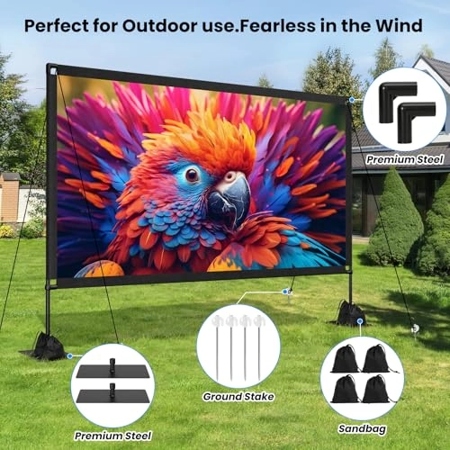 Projector Screen