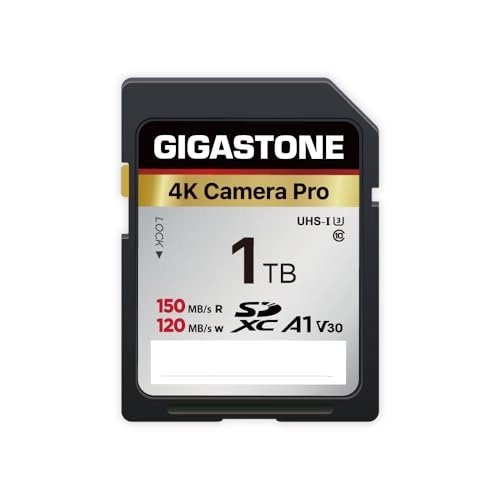 Gigastone SDXC Memory Card - 1TB