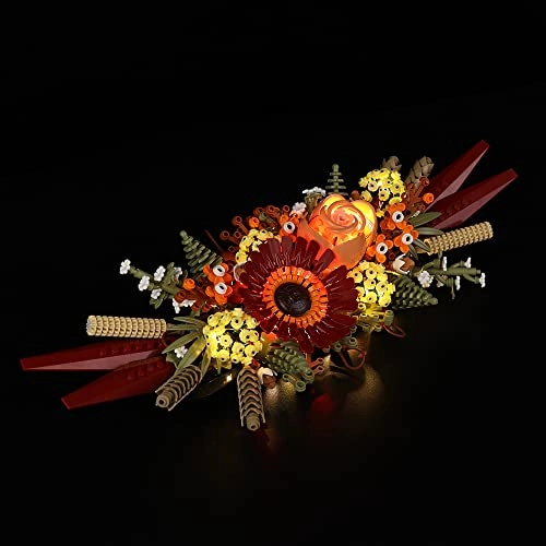 LED Light Kit - Multicolor Compatible with Lego 10314