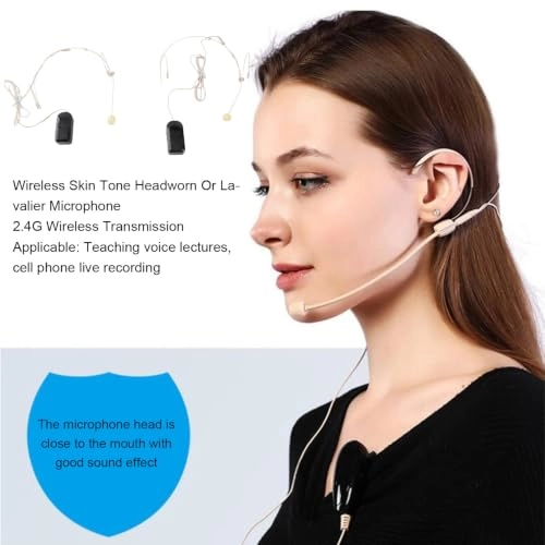 n1ukbordfh - 2 microphones 2.4G