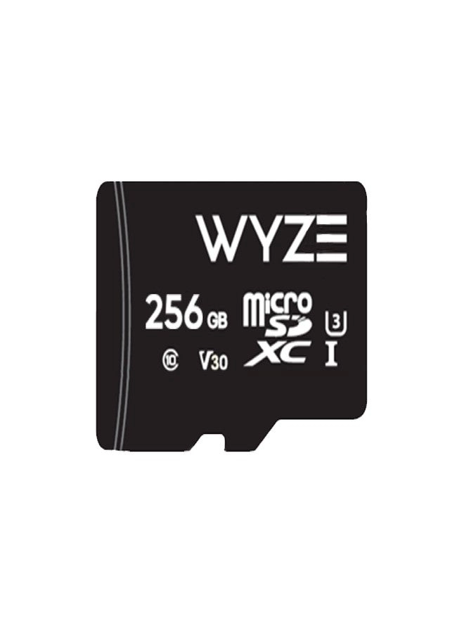 Micro SDXC Card - 256GB