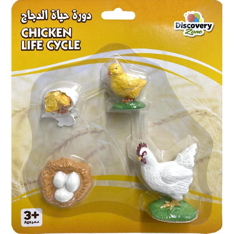 Non Branded Life Cycle of Rooster Animals - 4 years+ 4 pieces