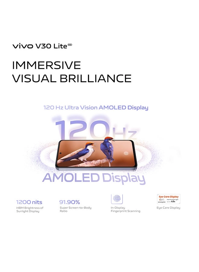 V30 Lite 12GB 256GB