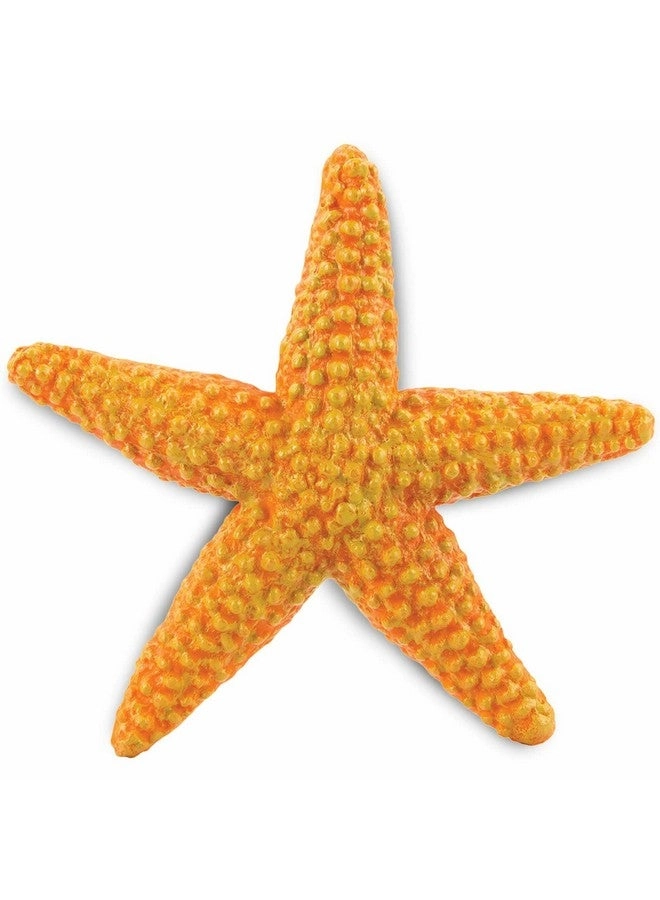 Safari Ltd Starfish Figurine