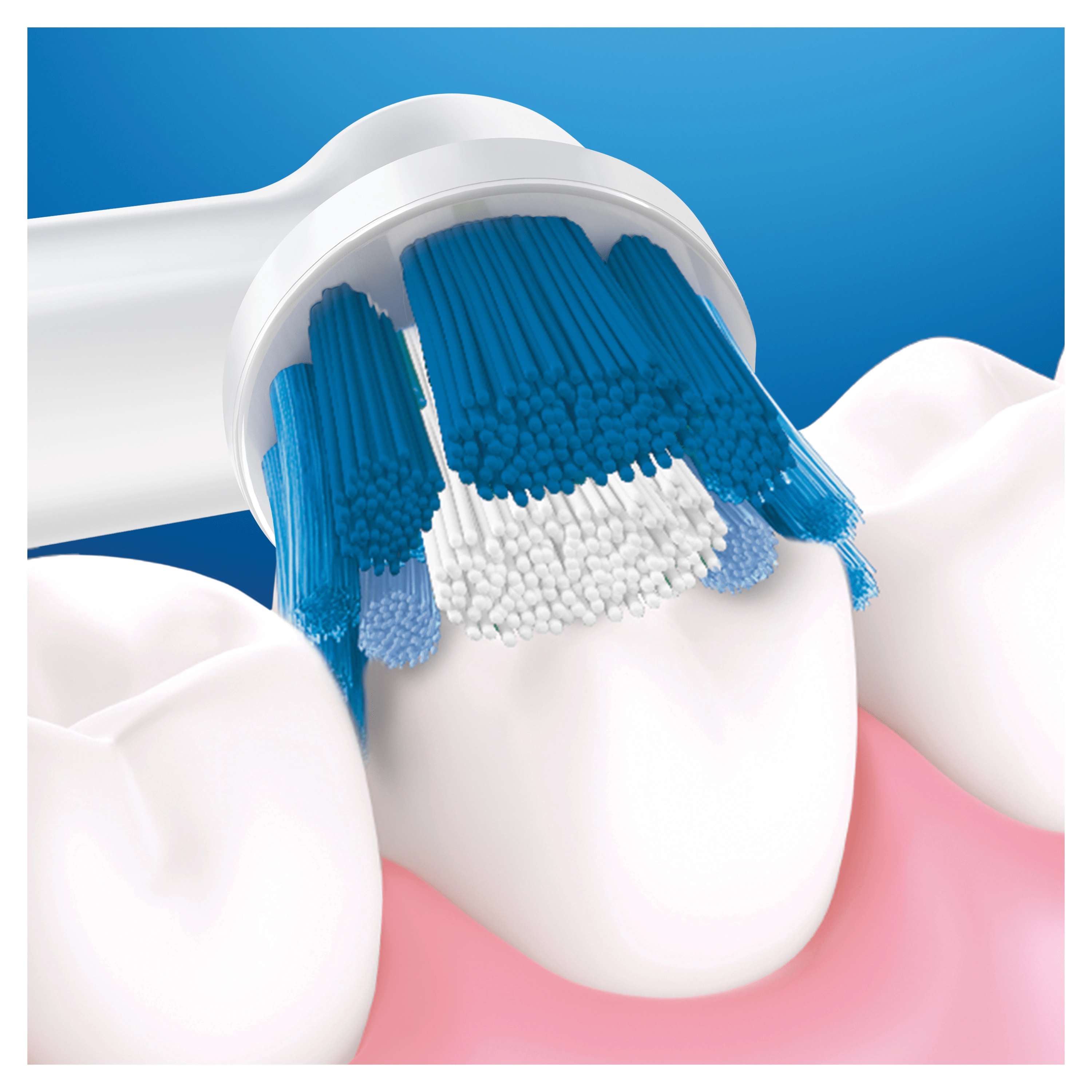 Precision Clean - Pack of 8 Toothbrush Heads White