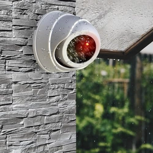 Dome Simulation Security Camera - Indoor