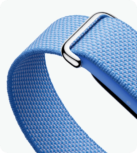 Fitbit Air