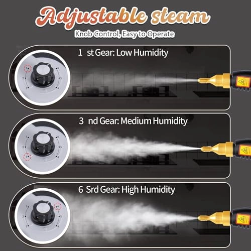 Steam Cleaner - 1000 Milliliters