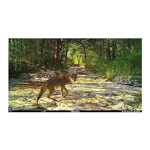 Dark Ops Pro X 1080 - 24MP