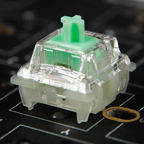 Gateron Baby Kangaroo - 10 PCS