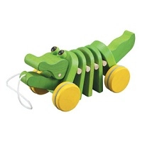 Push & Pull Toys