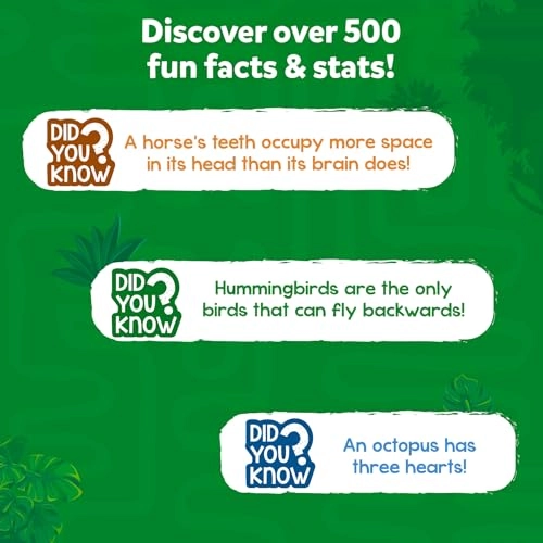 Trump Card Game: Rank Up Animals - Card Game