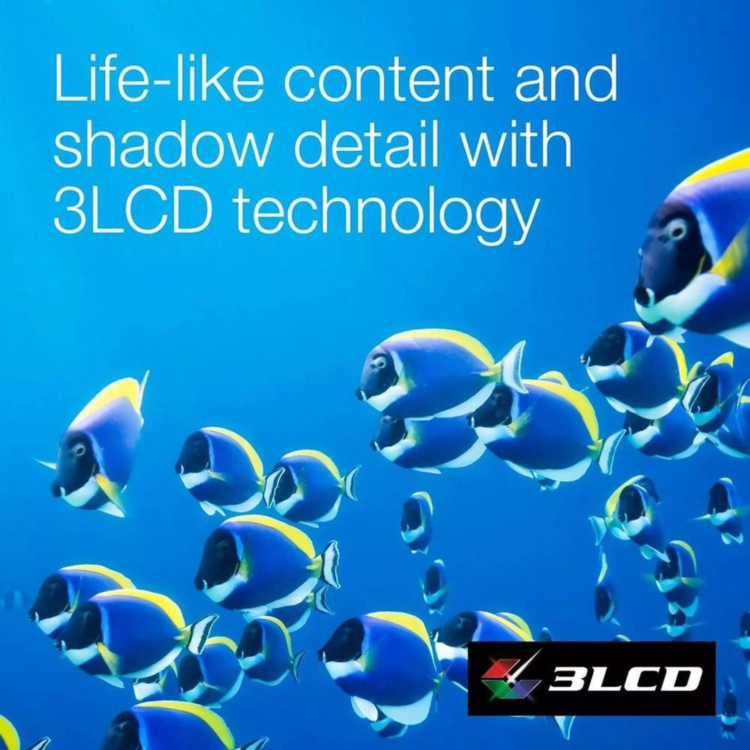 EF-11 V11HA23040 1,000 Lumens