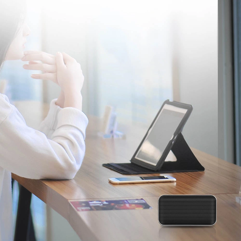 BT209 V6382B_P Bluetooth Speaker