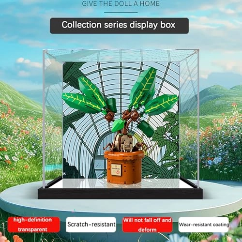 Acrylic Display Case - 30 x 30 x 30 cm Background