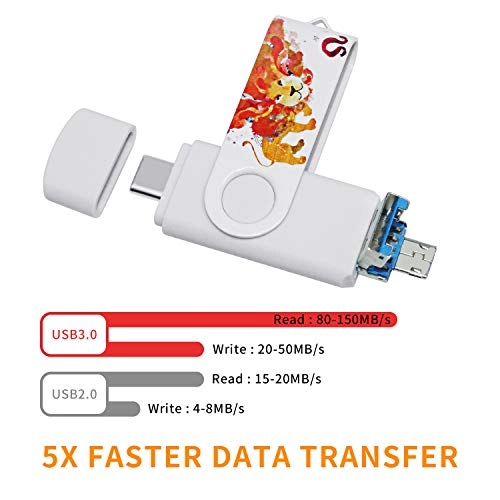Photo-Stick - USB 3.0 Type C/Micro 256GB