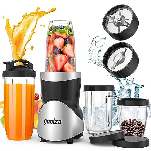 Ganiza Smoothie Blender - 900W