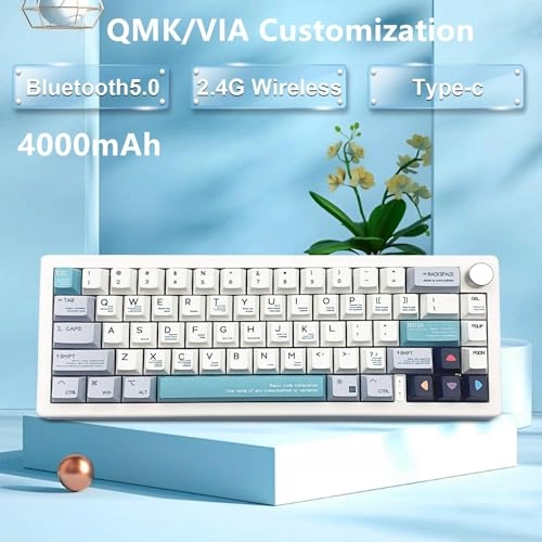 GMK67 - Wired/Wireless