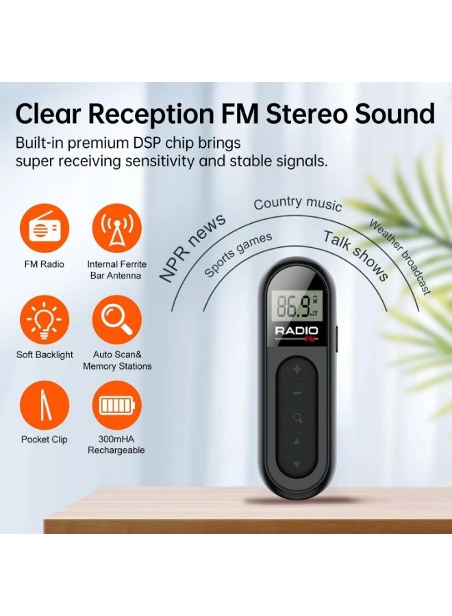Multiband Radio - Portable