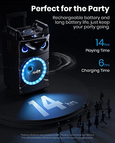 MTs10-2 - 2 Wireless Microphones 160 Watt