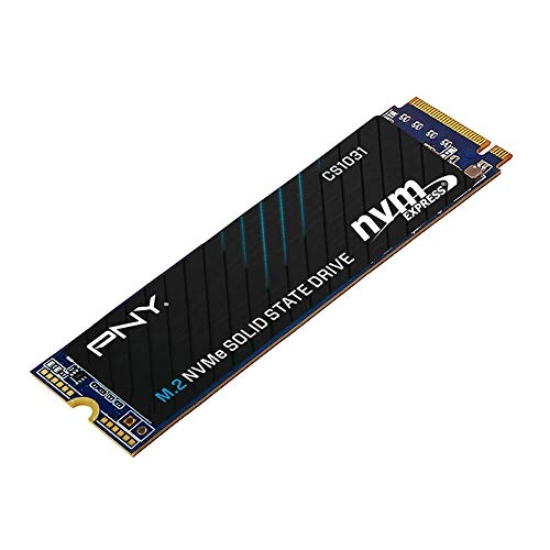 CS1031 - 256 GB M 2