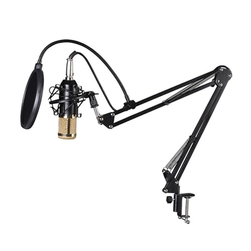 V9 + BM-800 USB Microphone