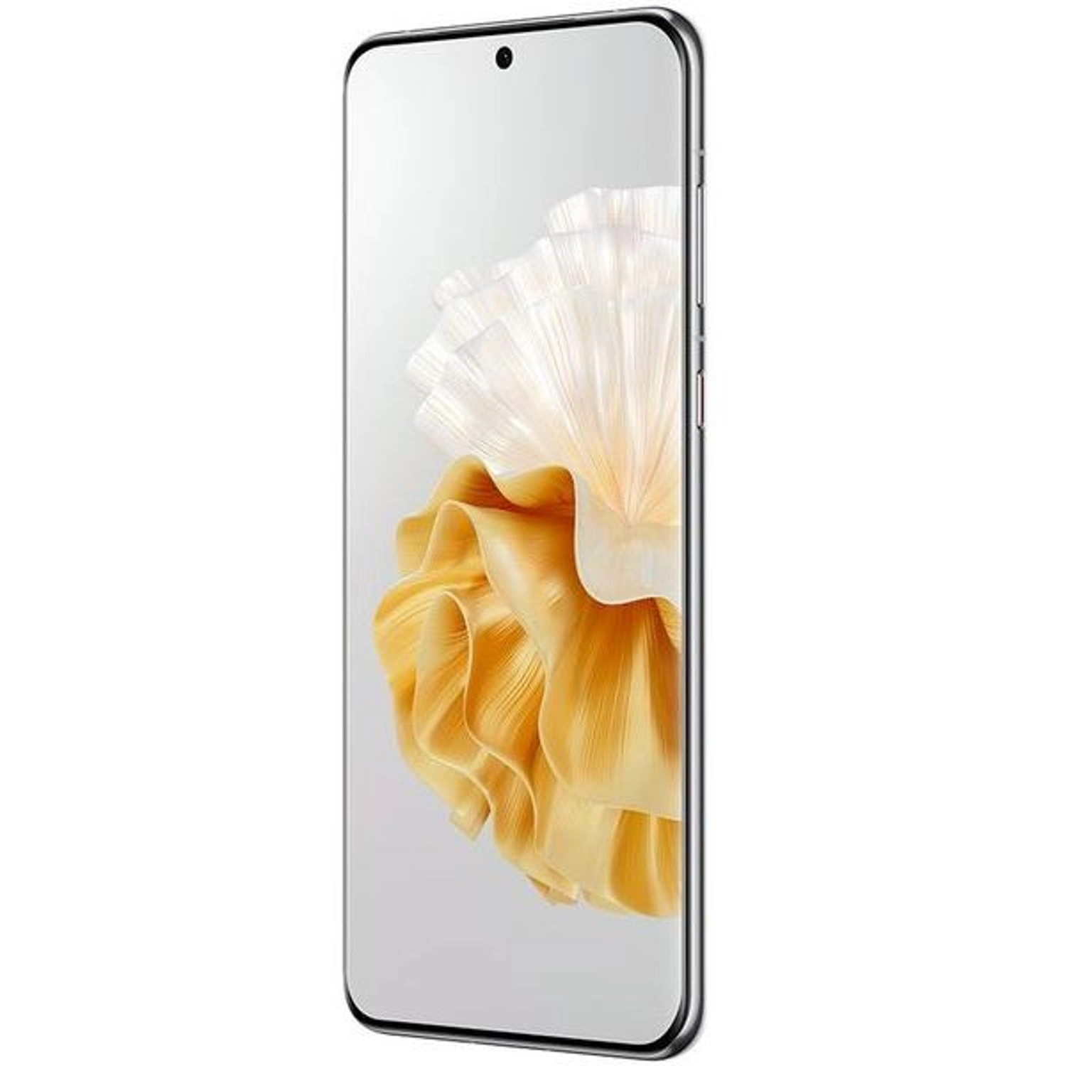 P60 Pro - 12GB 512GB