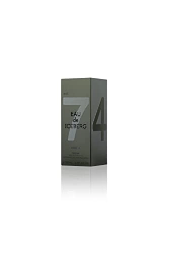 Amber Man Eau de Toilette 100 ml