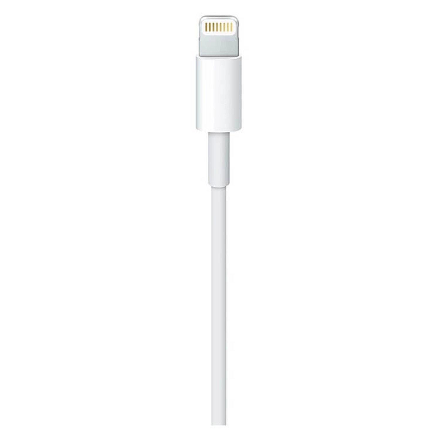 Lightning To USB Cable Lightning to USB 1m