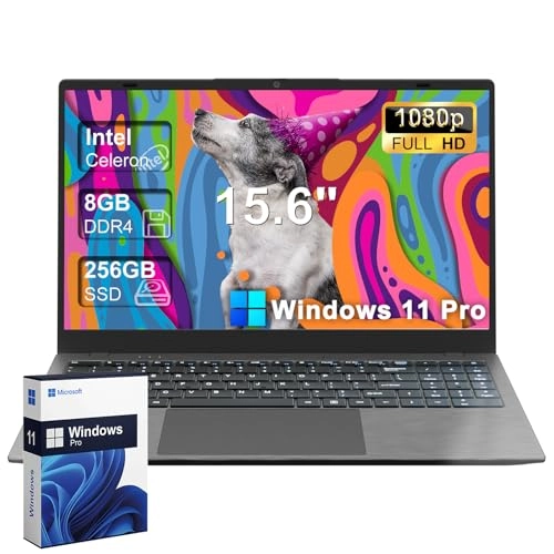 15 Laptop - 15.6'' 256GB 8GB 256GB Celeron N