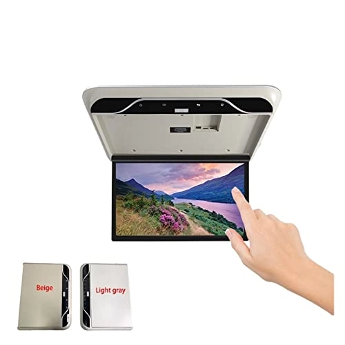 Roof Mount Screen - 19 Inch