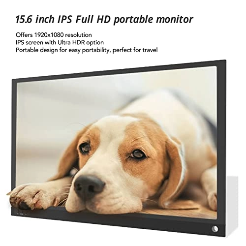 Portable Monitor - 1080P 15.6 Inch