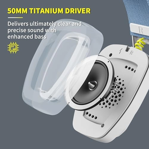 BW02-BT Wireless Headset