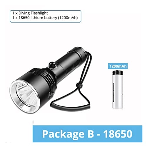 Submersible Light