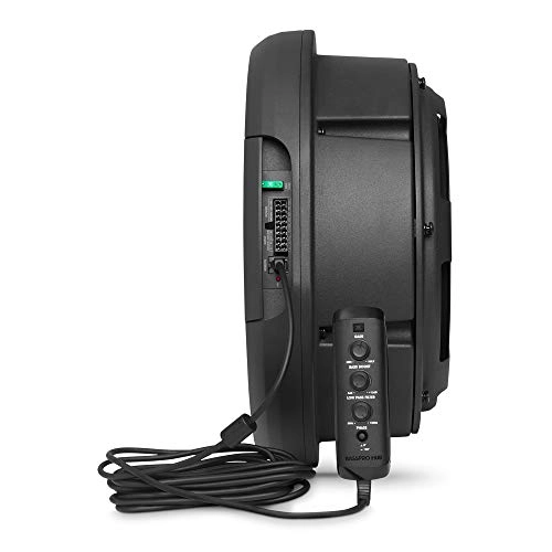 Basspro Hub - 200W 11"