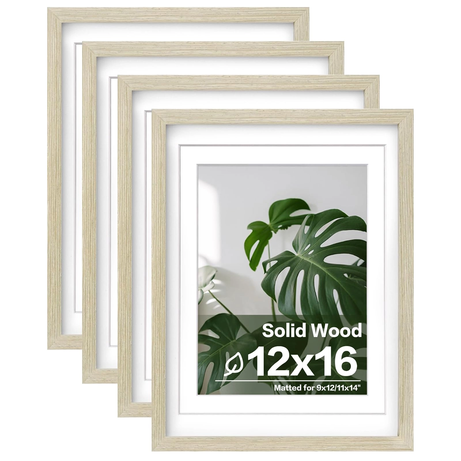 picture frames - 12x16
