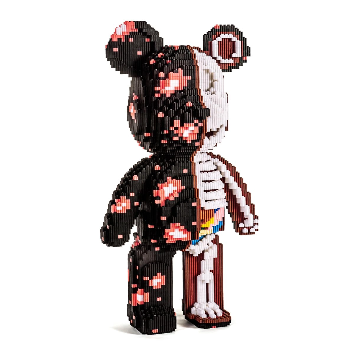 Animal Dissection Skeleton Bear - 7220 pcs