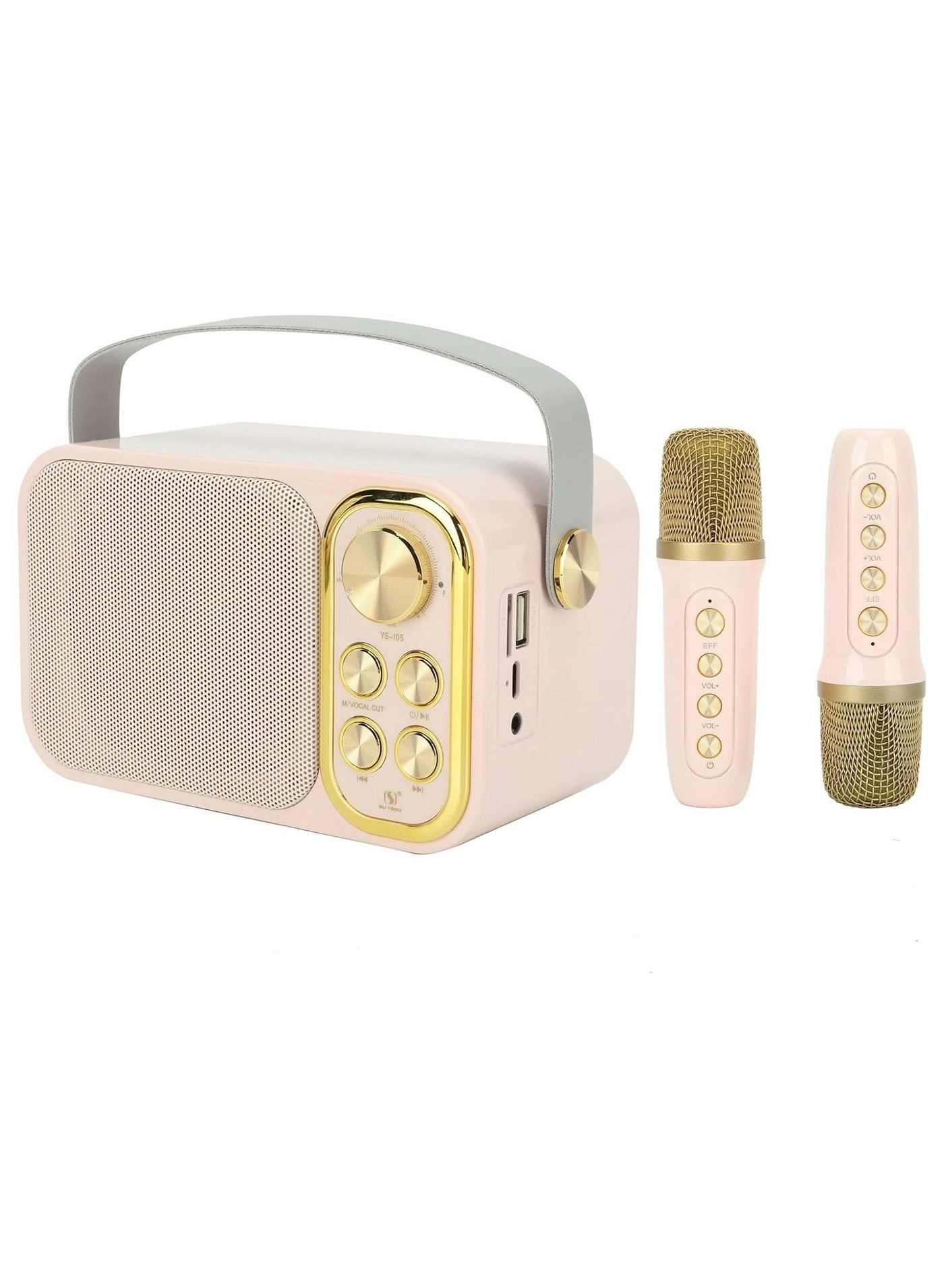 AWALOR Outdoor Party Vocal Machine - 2 microphones