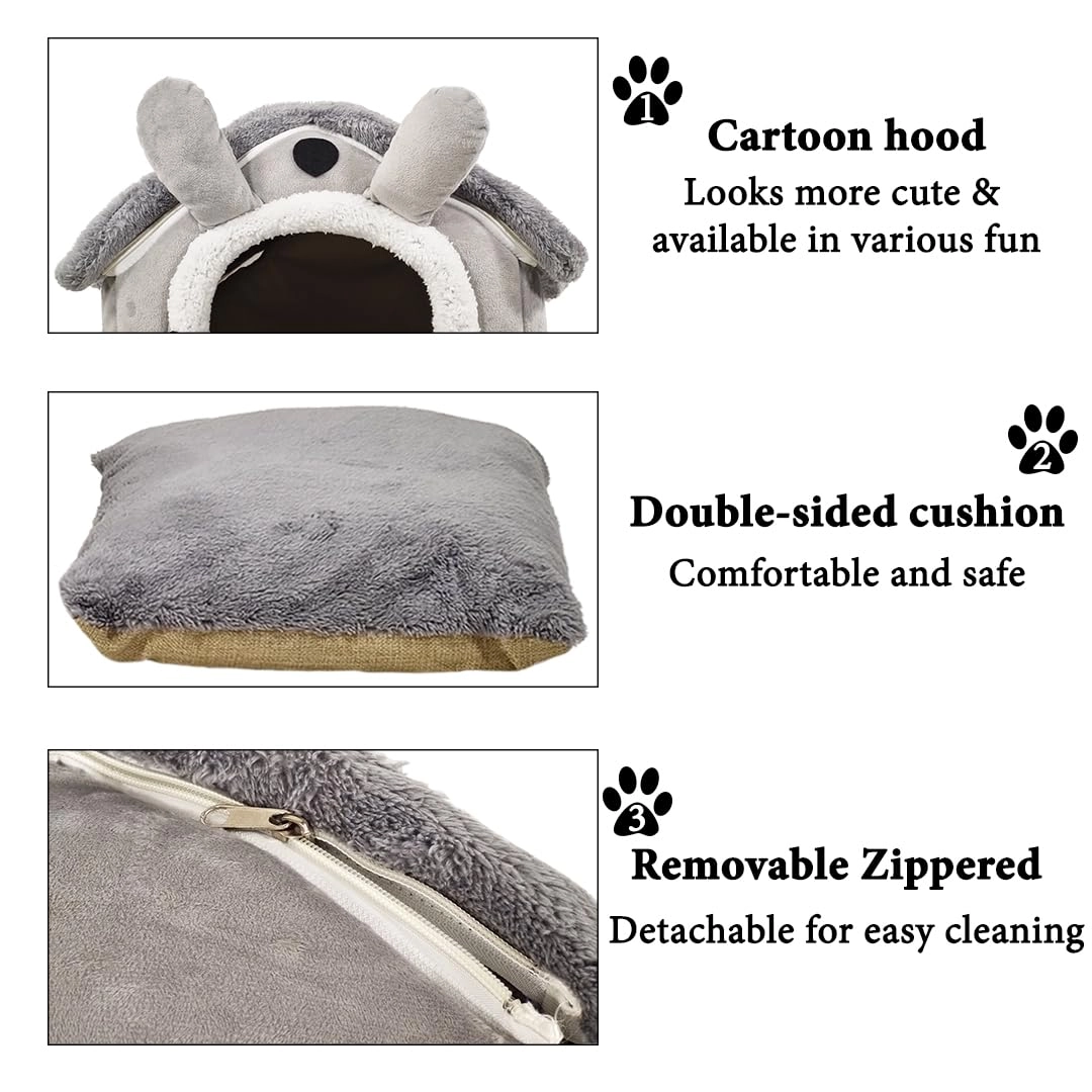 House-Design Cat Shelter