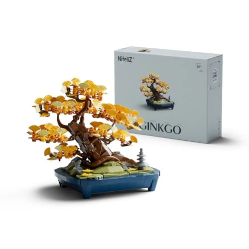 Ginkgo Bonsai Tree