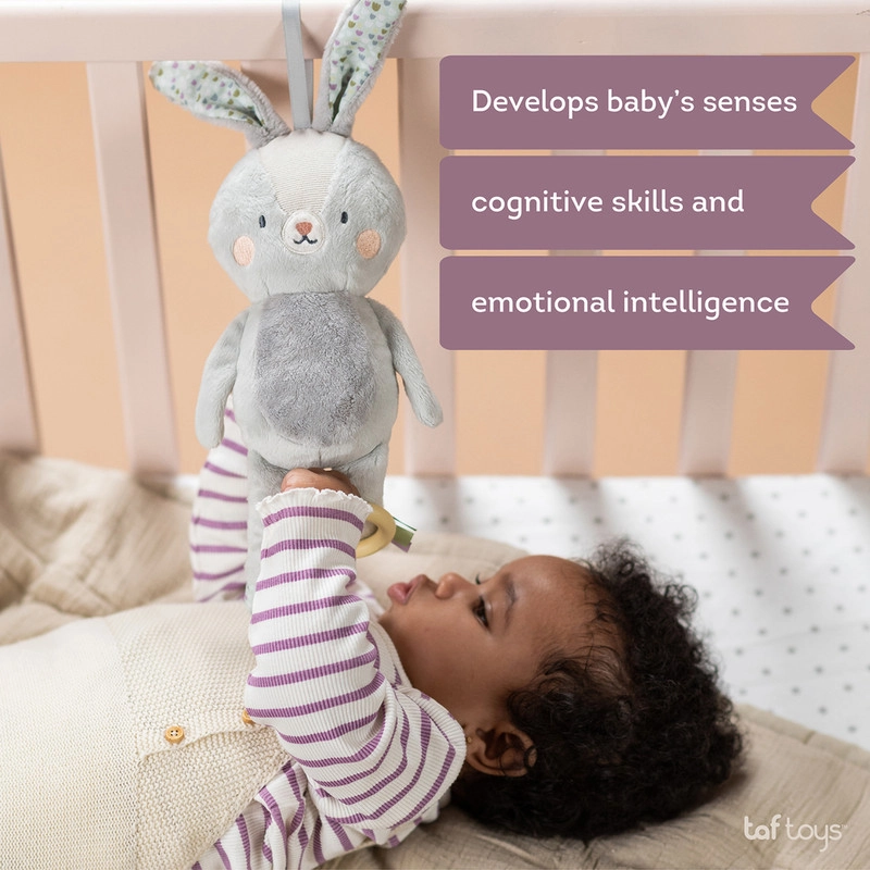Rylee Musical Bunny - 0 Months & Above ultra-soft fabric