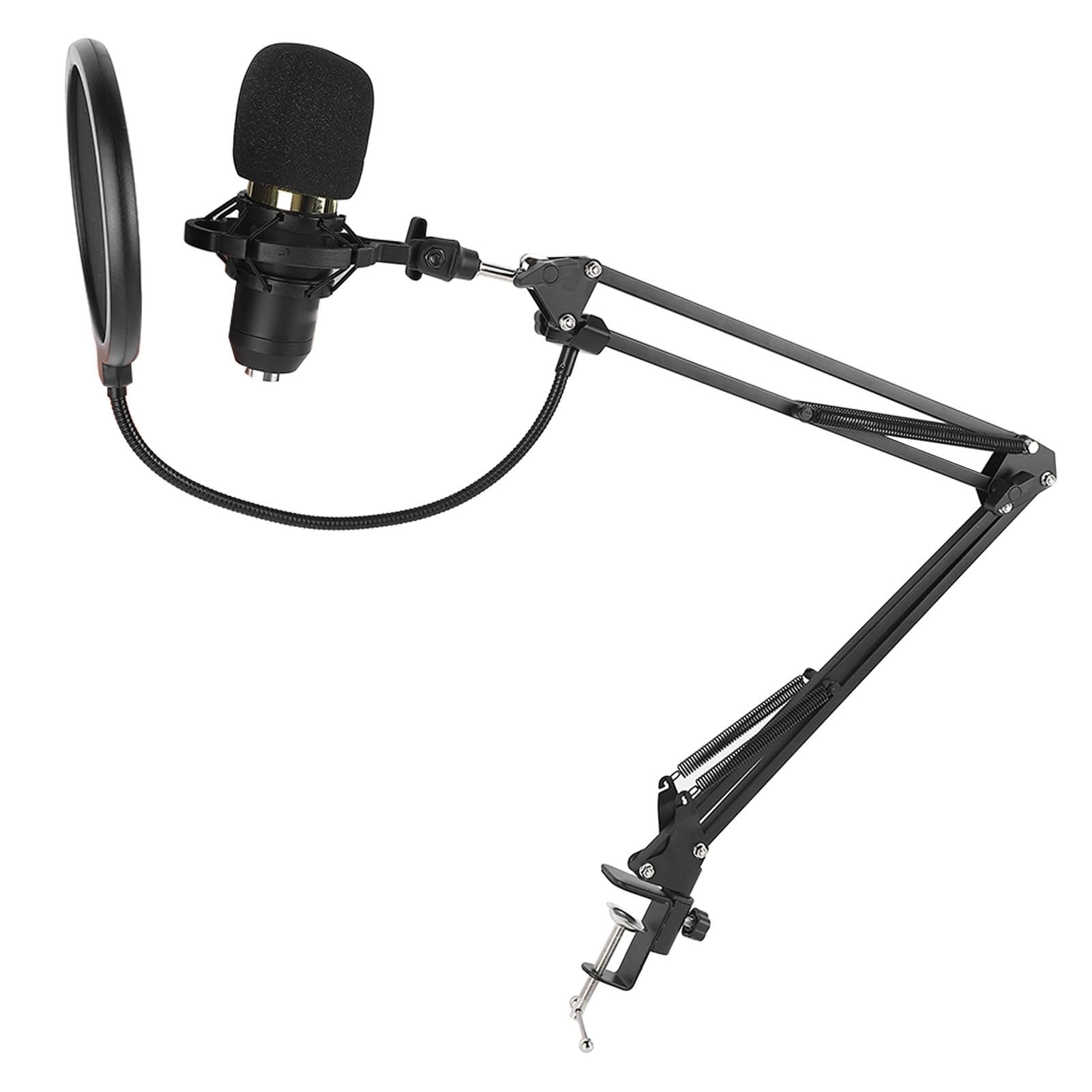 BSTiltion2vrfzsw4cb Wired Microphone