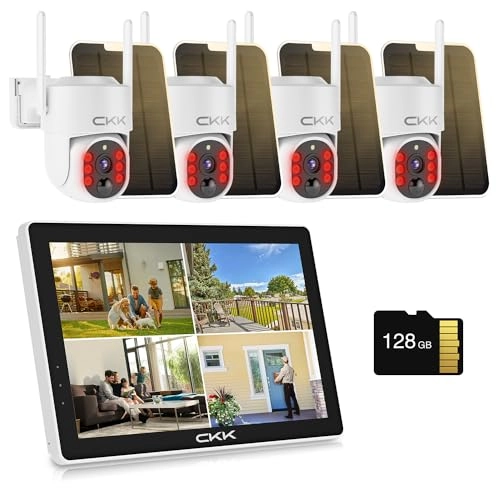 C202 + 10 Channel NVR