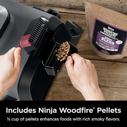 Woodfire Outdoor Grill & Smoker - Electric
