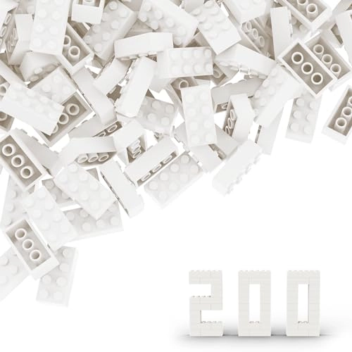 Classic Bulk Brick Block 2x4 - 200 pcs