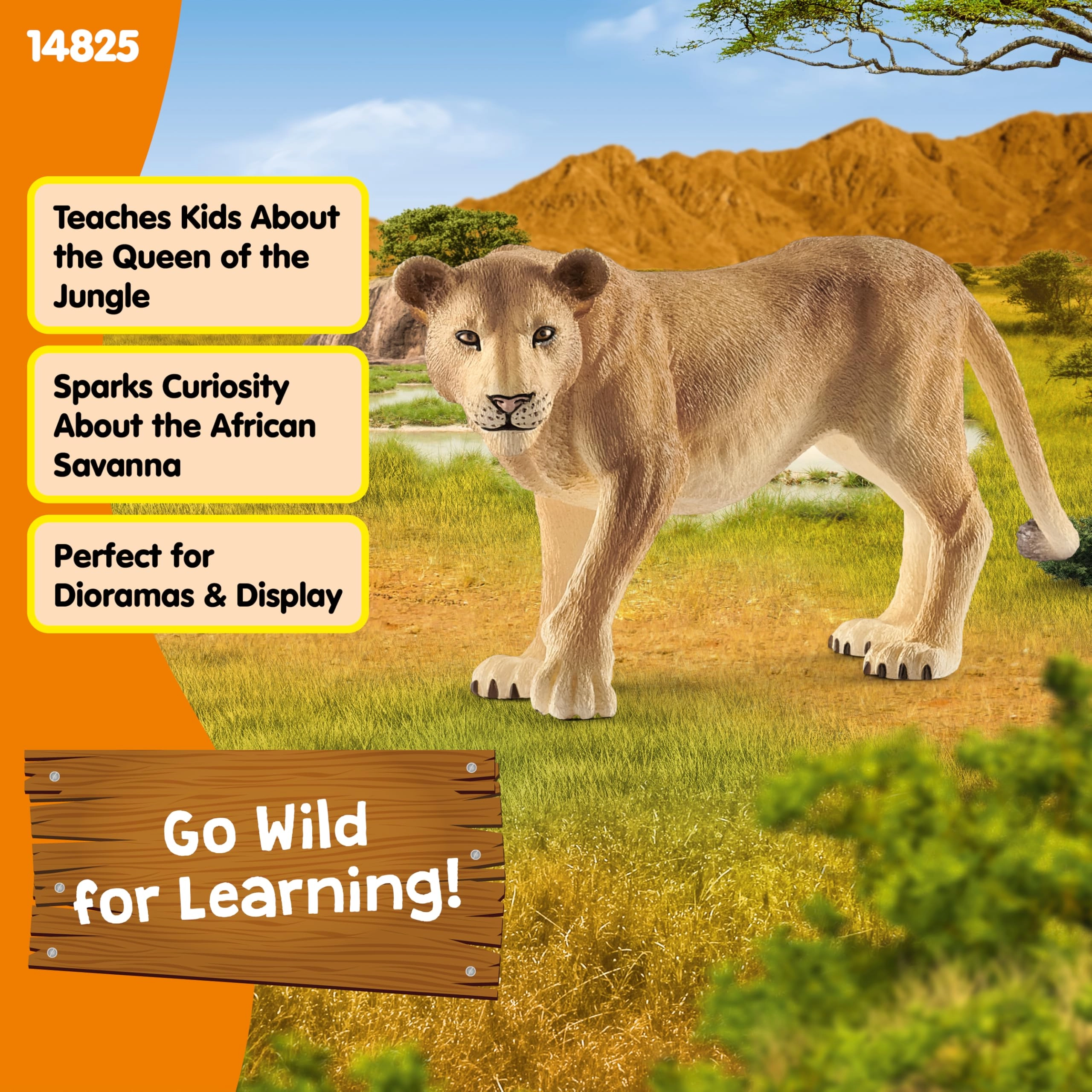 Lioness - 3 years and up Animal 1