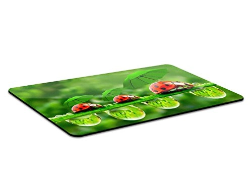 LadyBird Family Rubber Mouse Pad - 26x21 cm