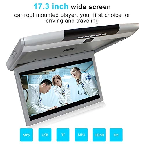 Car Video Player - 17.3 Inch